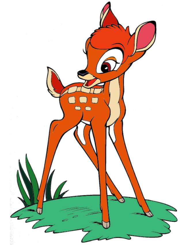 Immagini Di Animali Da Stampare A Colori