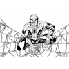 Disegno di Spiderman sulla Ragnatela da colorare