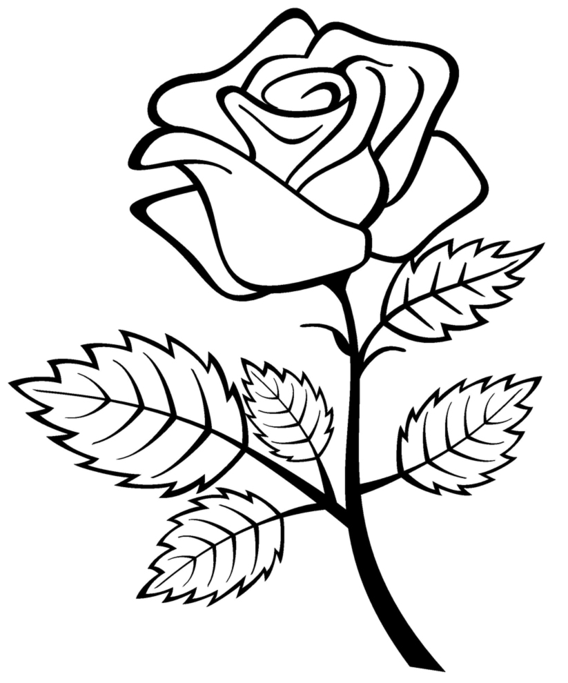 image of rose for coloring pages - photo #47