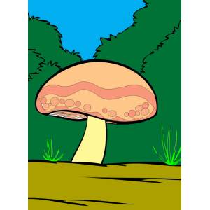Disegno di Fungo nel Bosco a colori