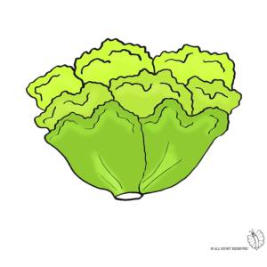 Disegno di Insalata a colori