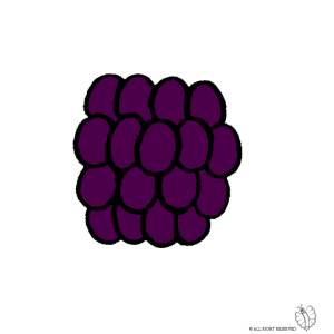 Disegno di Mora a colori