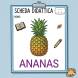 Disegno di Ananas Scheda Didattica a colori