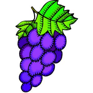 Disegno di Uva a colori
