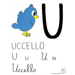 Disegno di Lettera U di Uccello a colori