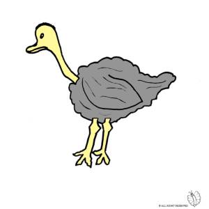 Disegno di Struzzo a colori