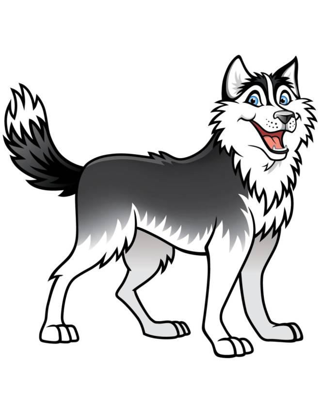 disegno di Cane Husky a colori