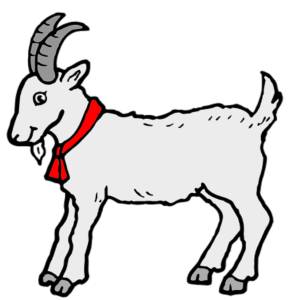 Disegno di Capretta a colori