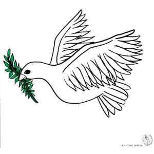 Disegno di Colomba Bianca a colori