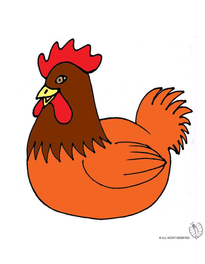 disegno di Gallina che Cova a colori