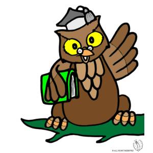 Disegno di Gufo con Libro a colori