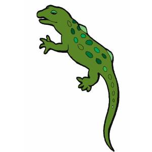 Disegno di Iguana a colori