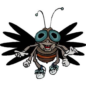 Disegno di Moscone a colori