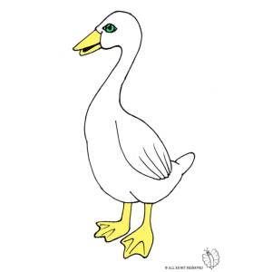 Disegno di Oca  a colori