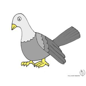 Disegno di Piccione Viaggiatore a colori