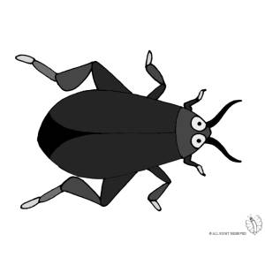 Disegno di Scarafaggio a colori