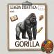 Disegno di Scheda Didattica Gorilla a colori