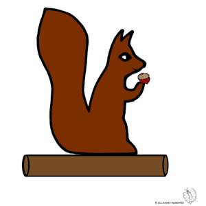 Disegno di Scoiattolo che Mangia a colori