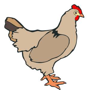 Disegno di Gallina a colori