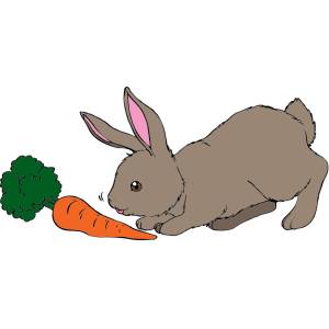 Disegno di Il Coniglio e La Carota a colori
