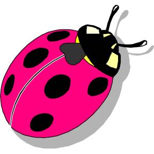 Disegno di La Bella Coccinella a colori