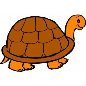Disegno di Tartaruga a colori