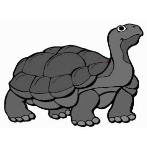 Disegno di La Tartaruga a colori
