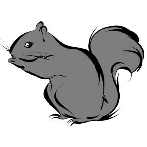 Disegno di Scoiattolo a colori