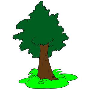 Disegno di Albero a colori