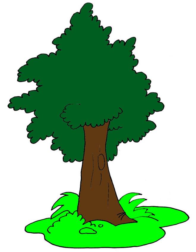 disegno di Albero a colori