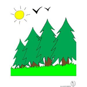 Disegno di Bosco a colori