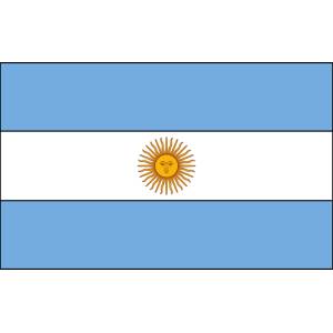 Disegno di Bandiera Argentina a colori
