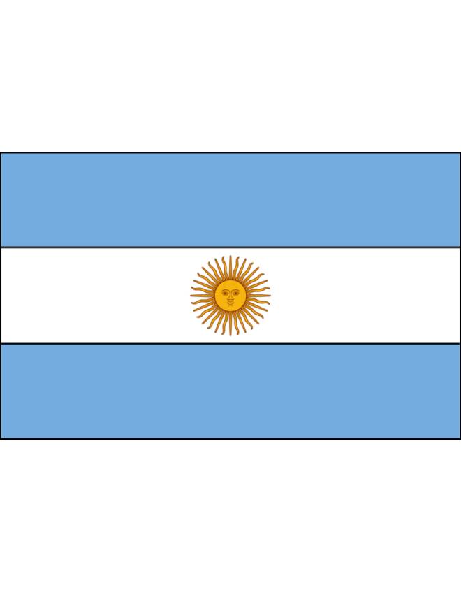 disegno di Bandiera Argentina a colori