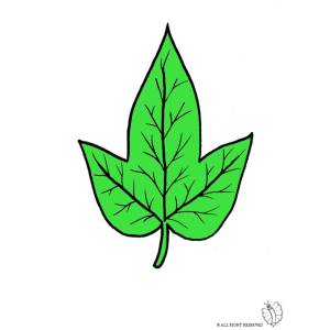 Disegno di Foglia a colori