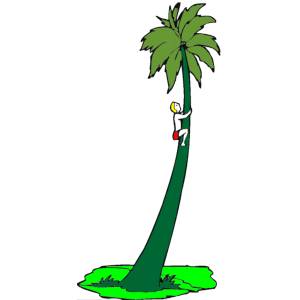 Disegno di Palma Isola Deserta a colori