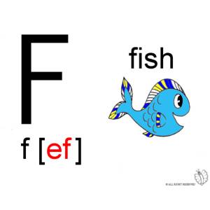 Disegno di Lettera F Alfabeto Inglese a colori