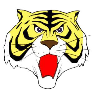 Disegno di Maschera Uomo Tigre a colori