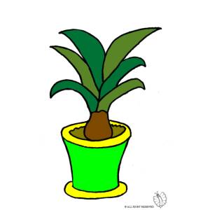 disegno di Pianta nel Vaso a colori