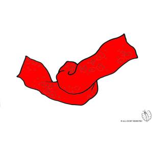 Disegno di Sciarpa  a colori