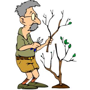 Disegno di Nonno Giardiniere a colori