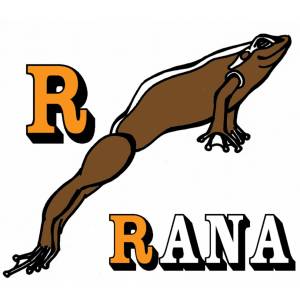 Disegno di Scheda Lettera R a colori