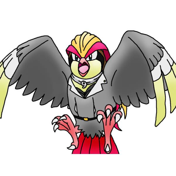 Disegno di Pokemon Pidgeot a colori