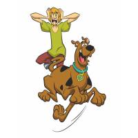 Disegno di Scooby Doo e Shaggy Rogers a colori