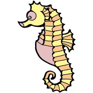 disegno di Cavalluccio Marino a colori