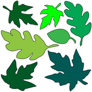 Disegno di Foglie a colori