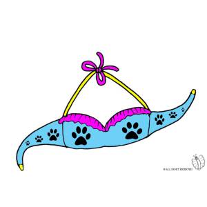 Disegno di Reggiseno a colori