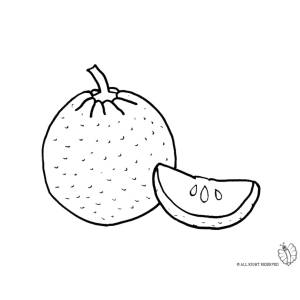 Disegno di Arancia da colorare