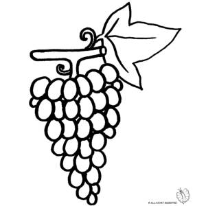 Disegno di Pigna d'uva da colorare