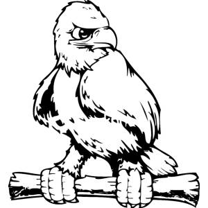 Disegno di Aquila Ammaestrata da colorare