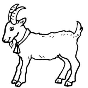 Disegno di Capretta da colorare